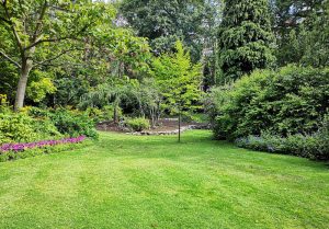 Optimiser l'expérience du jardin à Tilleux
